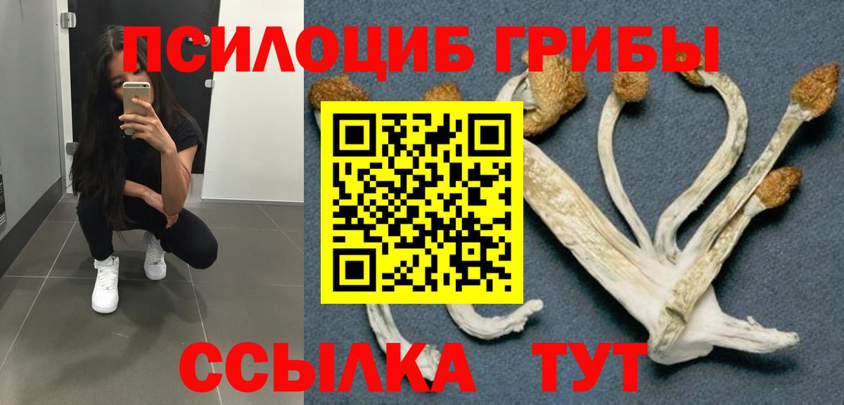 Лобня  Галлюциногенные грибы мицелий  Галлюциногенные грибы GOLDEN TEACHER  купить  цена  Вход с VPN 