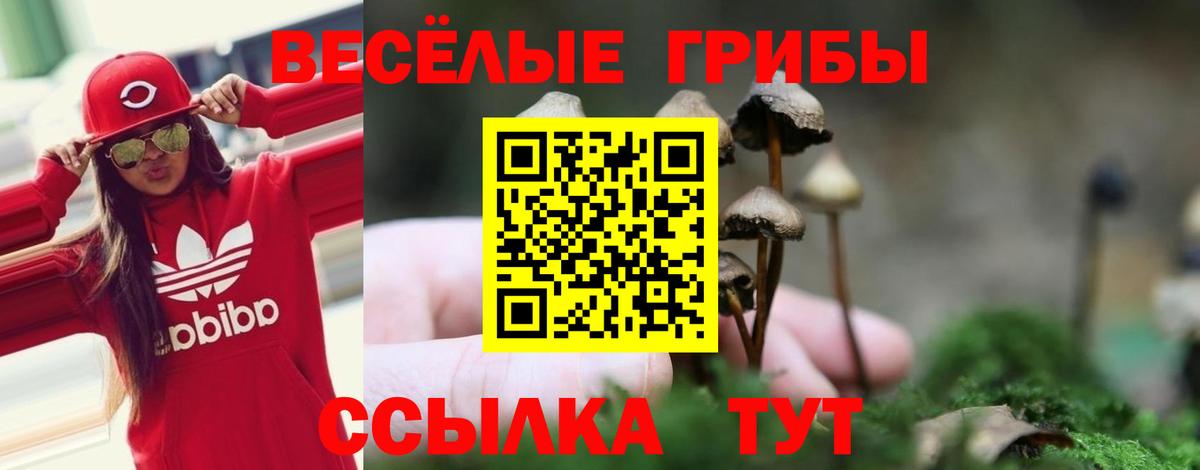 Псилоцибиновые грибы GOLDEN TEACHER Лобня